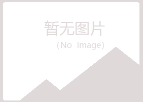 青岛四方乐菱服务有限公司